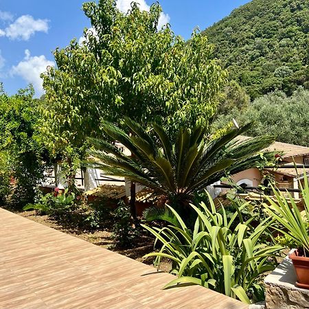 Afrodite'S Loft & Studios Paleokastritsa Exterior foto